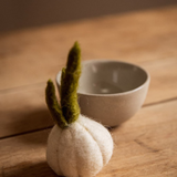 Ail en feutrine | MUSKHANE