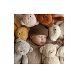 Peluche ourson coton bio - Cappuccino | MOONIE