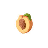 Anneau de dentition "Palm Peach" | OLI&CAROL