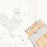 Livre de coloriage et crayons de couleurs "Farm" | KONGES SLOJD