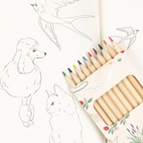 Livre de coloriage et crayons de couleurs "Mizumi" | KONGES SLOJD