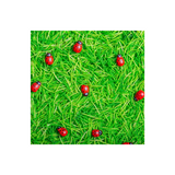 Bouteille sensorielle "Sound" - Coccinelles | PETIT BOUM