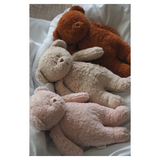 Peluche ourson coton bio - Sable | MOONIE