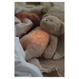 Peluche ourson coton bio - Cappuccino | MOONIE
